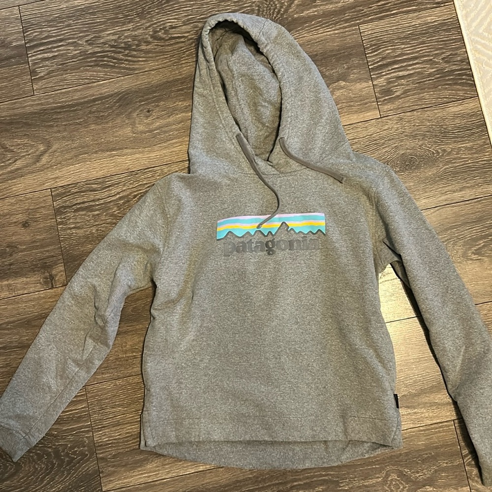Patagonia sweatshirt